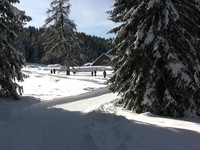 Winter in Val D'Ega