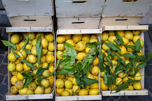 Limone sul Garda e Canale di Tenno