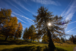 Autunno sul Salten